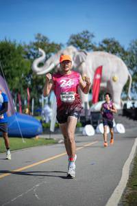 BIB: 
                            <button type="button" onclick="openModal(26542618)" class="btn btn-primary btn-sm float-right btn-popup" data-toggle="modal" data-target=".modal-high-quality">
                        <i class="fas fa-shopping-cart"></i> Add to Cart
                    </button>
                                            <button type="button" onclick="isThisMe(26542618, true)" class="btn btn-success btn-sm float-right btn-popup btn-isme hidden" data-toggle="tooltip" data-placement="bottom" title="นี่คือรูปของคุณใช่ไหม คลิกที่นี่เพื่อเอาเข้าอัลบั้ม">
                        <i class="fas fa-plus"></i> Add to album
                    </button>
                    <button type="button" onclick="isThisMe(26542618, false)" class="btn btn-warning btn-sm float-right btn-popup btn-isnotme hidden">
                        <i class="fas fa-ban"></i> Remove from album
                    </button>